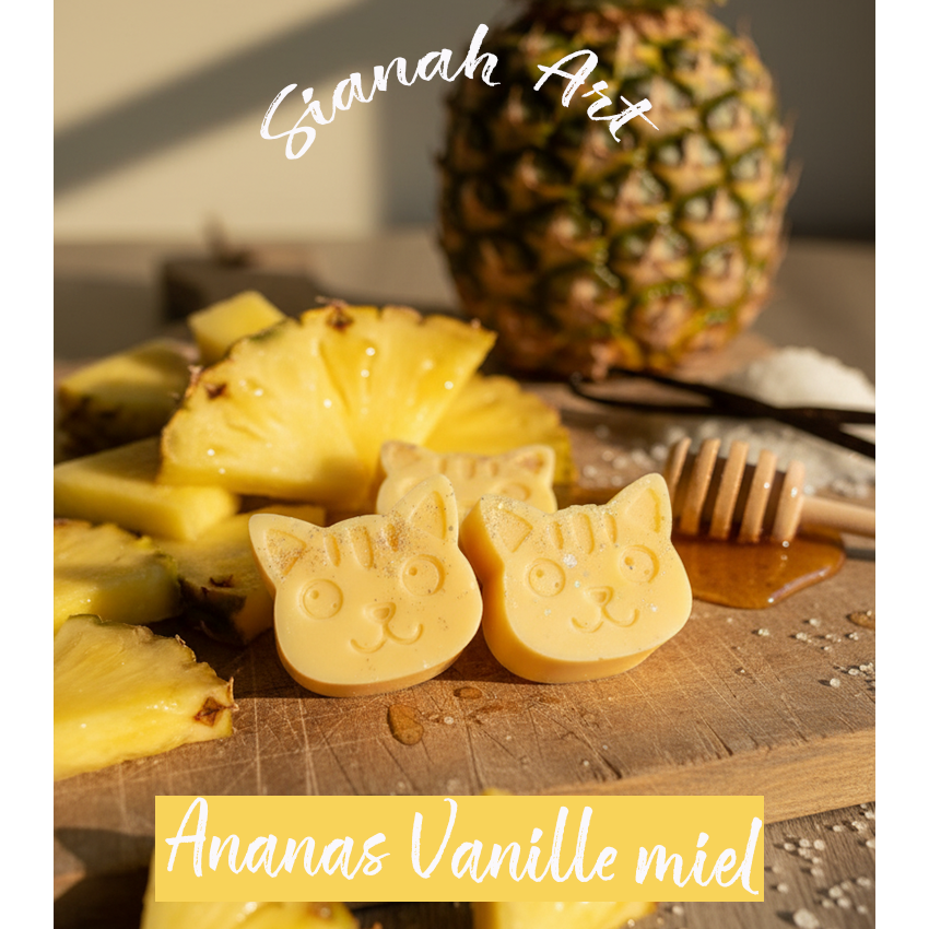 Fondant parfumé chat-rmand - Ananas Vanille miel.