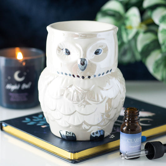 🦉 Brûle-parfum Chouette en dolomite et céramique