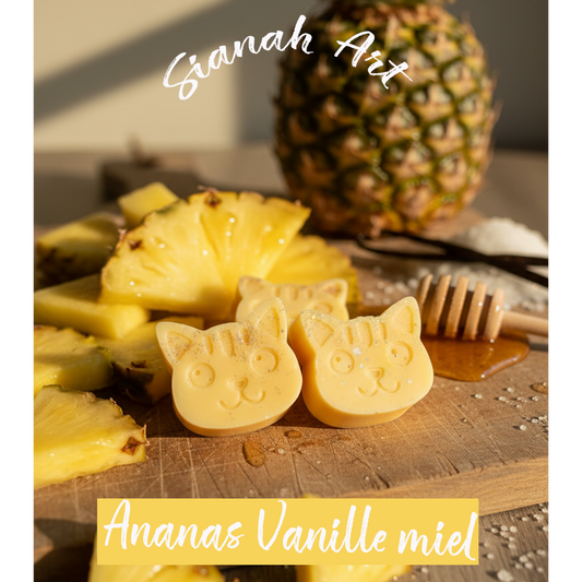 Fondant parfumé chat-rmand - Ananas Vanille miel.
